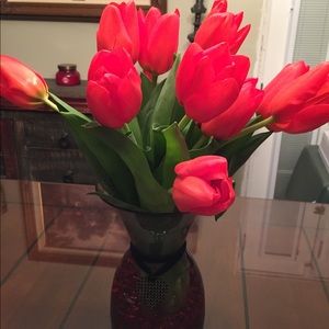 Meet your Posher, Cheri